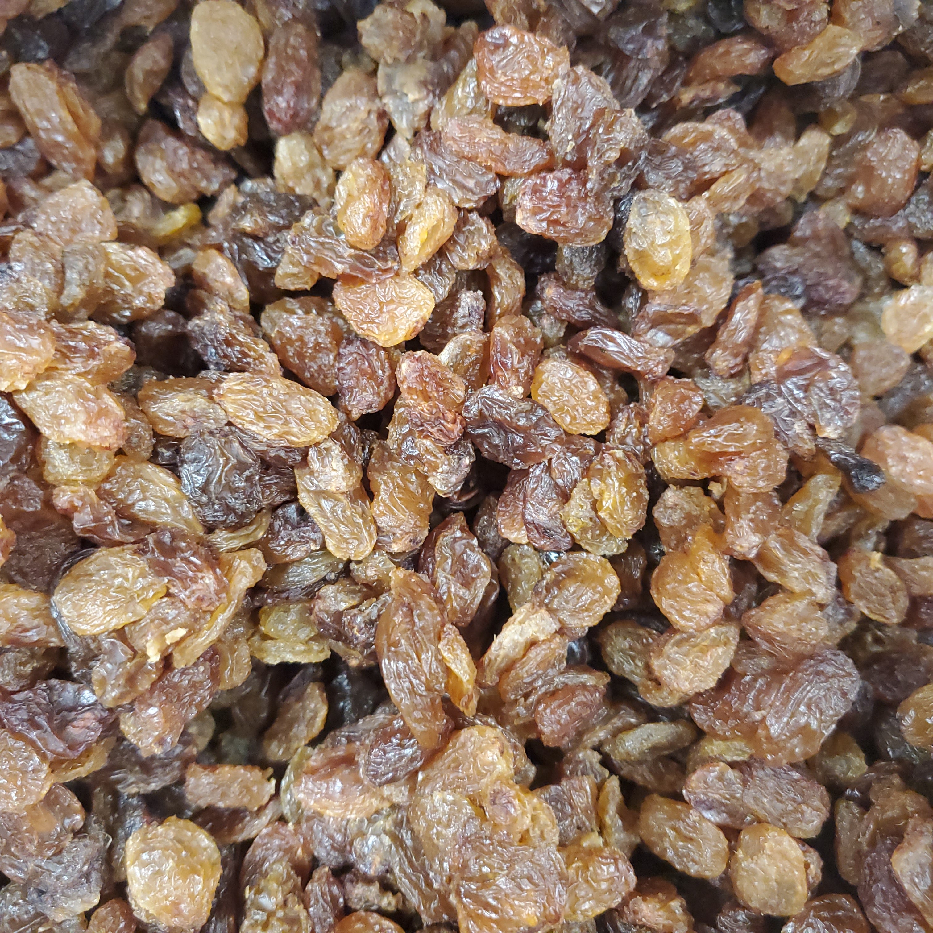 Dried Dark Raisins: 10lbs – Pacific Gourmet